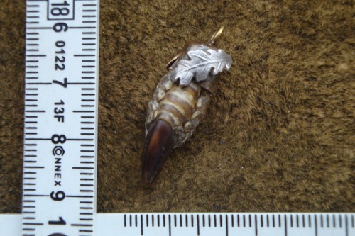 Charivari fasanenkralle - charivari,