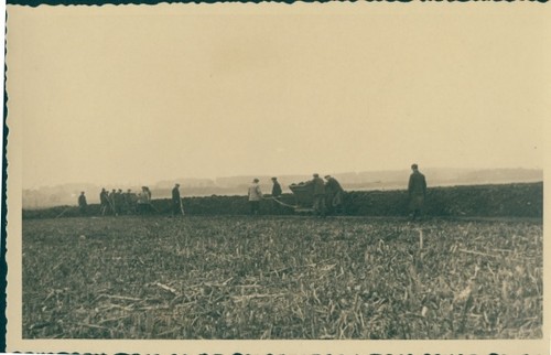 Foto kemberg der - kemberg, in