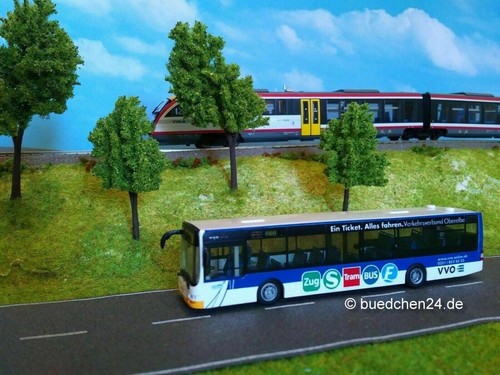 Man lions city vvo - city, /