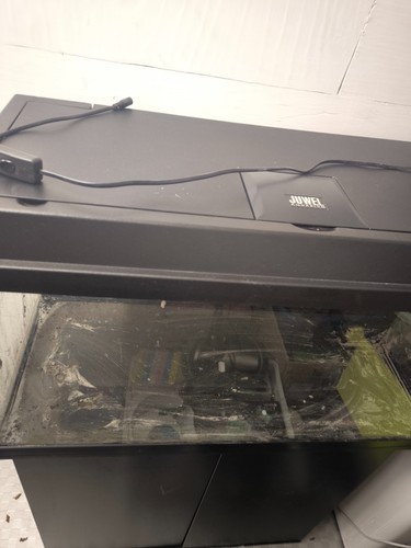 Juwel aquarium mit - juwel,