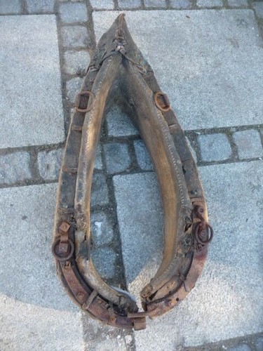Ochsen pferde kumet uralt - ochsen/pferde,