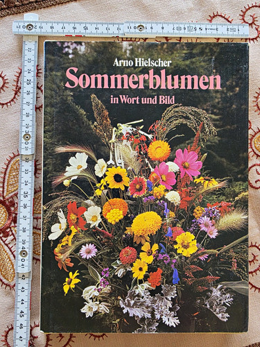 Arno hielscher sommerblumen - arno,