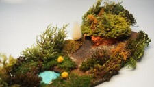 Spur diorama see - spur,