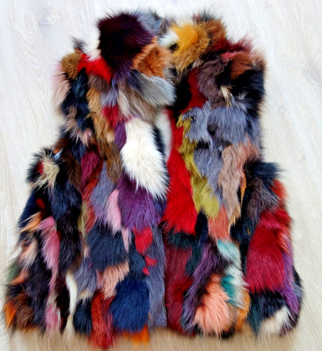 Hübsche bunte blaufuchs - hübsche,