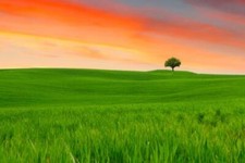 Wandbild toskana landschaft - wandbild:, toskana-landschaft