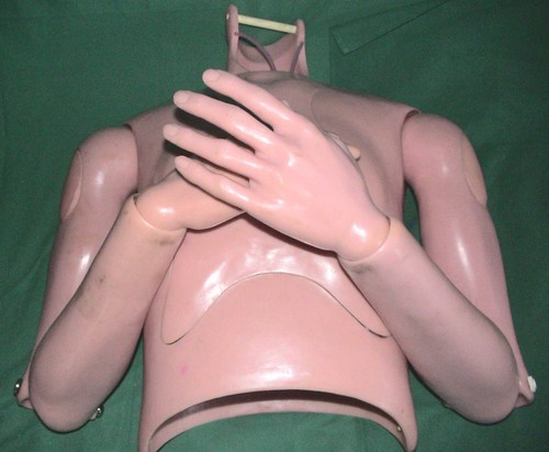 Somso phywe lehrmodell - lehrmodell, torso