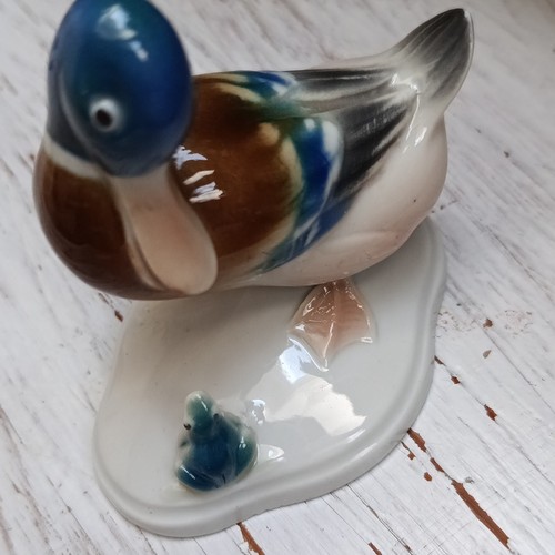 Stockente mit einem - , frosch