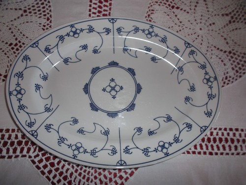 Indisch blau strohblume von - indisch,