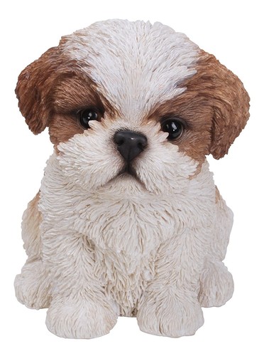 Hundefigur shih tzu welpe pet - welpe,,