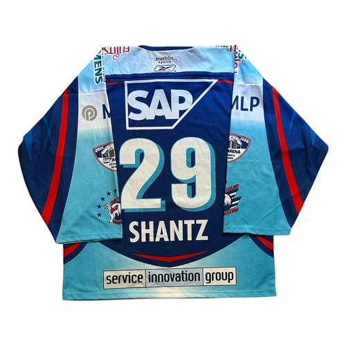 Adler mannheim ice - mannheim, –