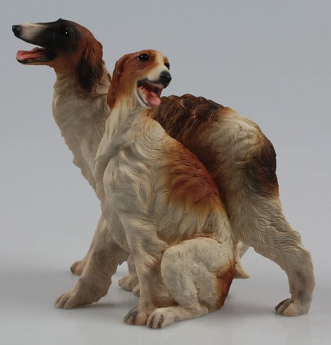 Barsoi windhund hund - windhund,