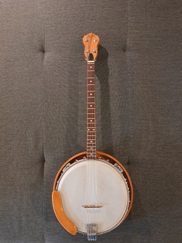 Banjo höfner - banjo,