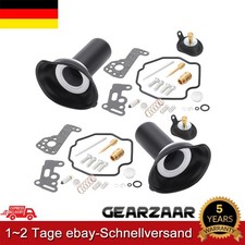 Vergaser Reparatur Satz 2