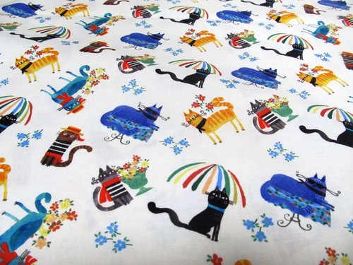 Katzen cats ciao bella - ,