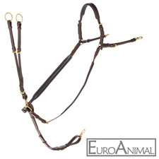 Vorderzeug mit Martingal, weiches Leder, schwarz oder braun, zwei Größen