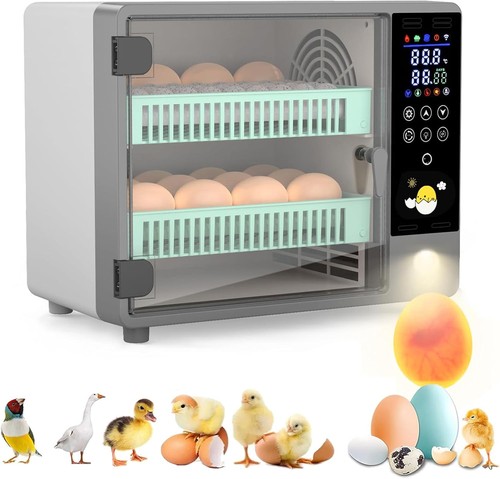 Eier brutautomat - eier,