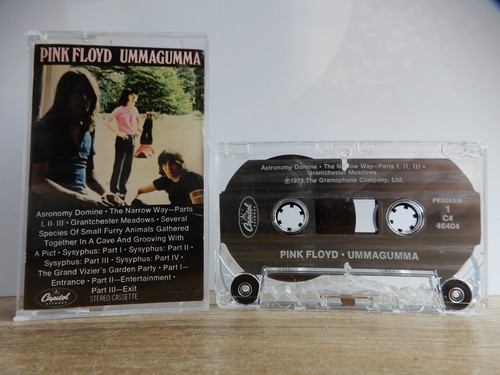 Pink floyd ummagumma musik - pink,