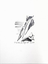 Serigraphie von Siegward