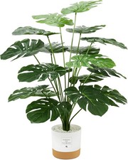 Atemberaubende 26" tropische