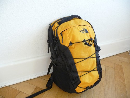 Rucksack north face borealis - face,