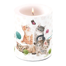 Stumpenkerze Katze Kätzchen