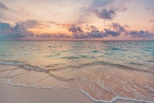 Wandbild: Nahaufnahme