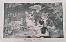 AK Ansichtskarte Postkarte