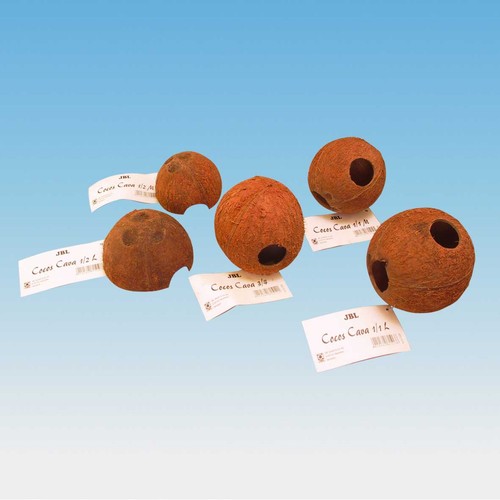 Jbl cocos cava - 1/1,
