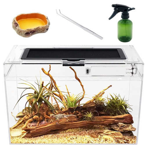 Reptilien terrarium 12x7x9 - terrarium,