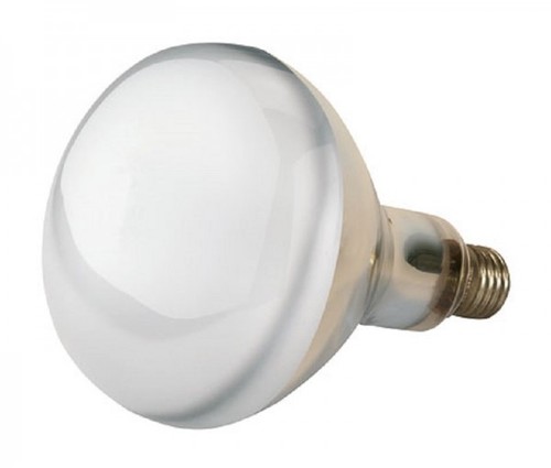 Kerbl 22252 hartglas - 22252,