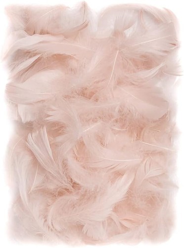150 stück beige deko federn - beige,