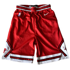Nike Chicago Bulls NBA