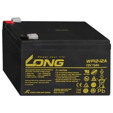 12V 12Ah LONG WP12-12 VdS Akku