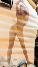 Full Length Personality Poster