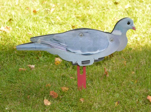 Nra fud lockvögel taube - nra,