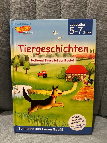Buch toggo clever - toggo,