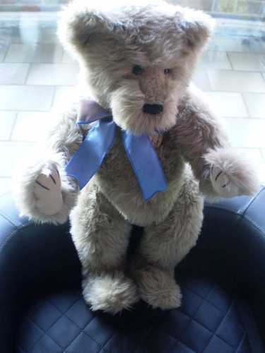 Ashton drake galleries teddy - ashton,