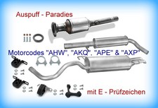 Abgasanlage + Katalysator für