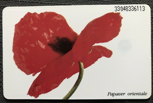 743 6 dm - 6, garten