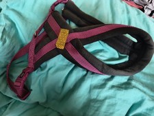 Schönes Hundegeschirr,grau-pink,dick und warm,für Hunde mittlerer 