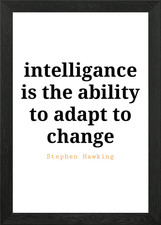 Stephen Hawking Zitat