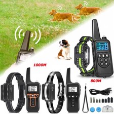 Hund Ausbildung Stromschlag