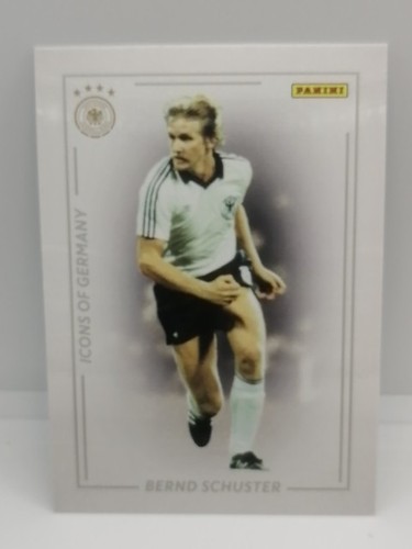 Panini dfb 2024 team - 2024, icons