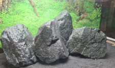 Aquarium steine basalt malawi - aquarium,