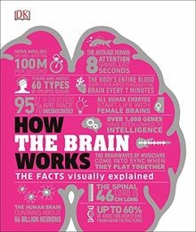 How the brain - the, facts