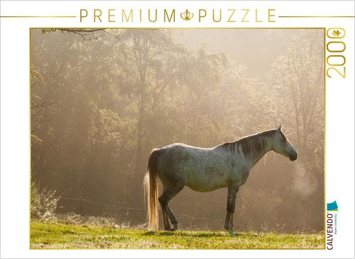 Calvendo puzzle anglo araber - puzzle, anglo-araber