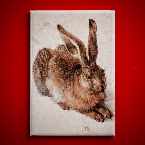 Dürer albrecht junger - albrecht,