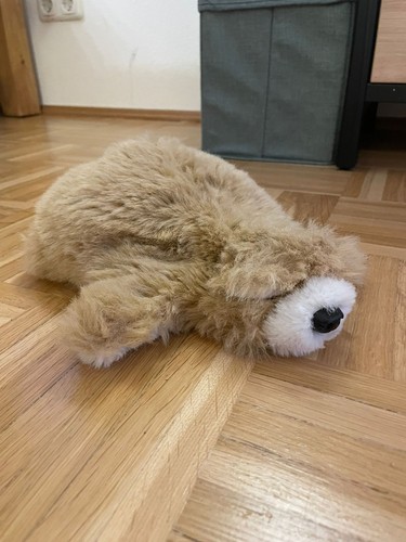 Wasi bär teddy marder - bär,