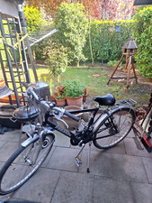 Pegasus Fahrräder Farbe