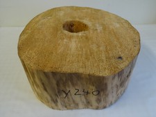 Mammutbaum,Baumscheibe,massiv